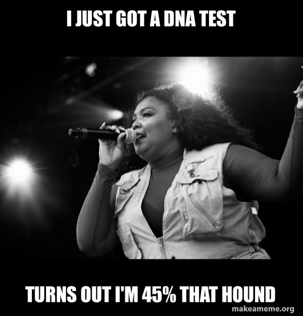 Lizzo meme