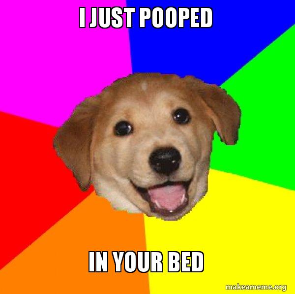 I just pooped In your bed Advice Dog Make a Meme