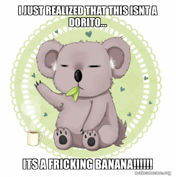 Aussie Koala doing the night shift meme