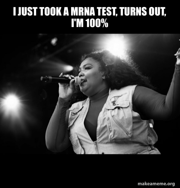 Lizzo meme