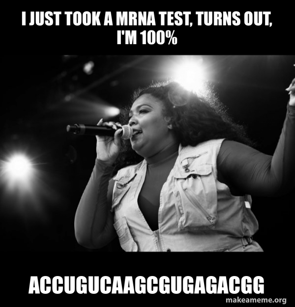 Lizzo meme