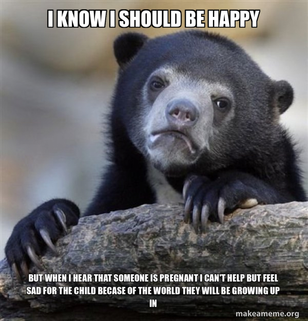 Confession Bear meme