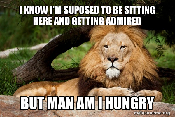 Contemplative Lion meme