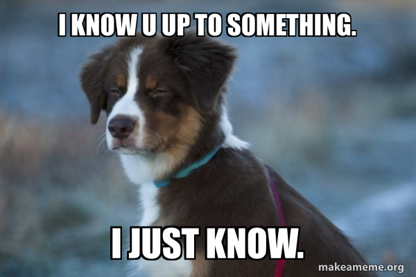 Unsure Dog meme