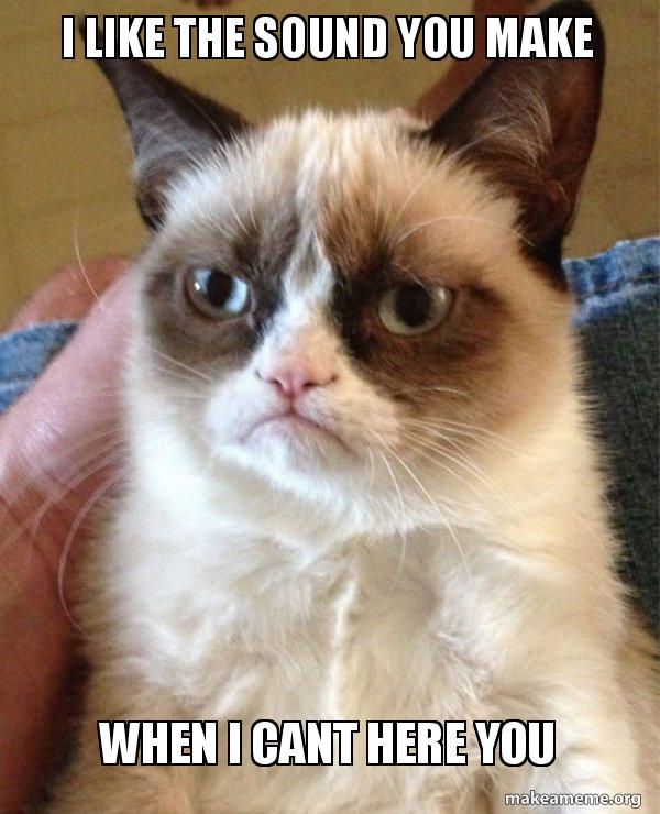 i like the sound you make when i cant here you Grumpy Cat Make a Meme