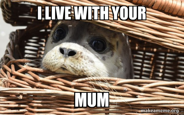 Impending Doom Seal meme