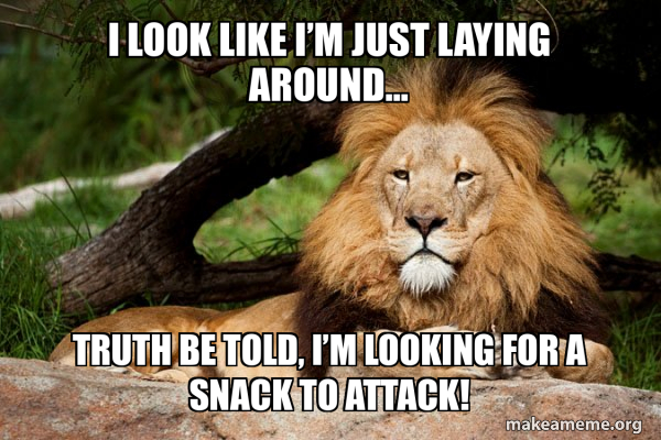 Contemplative Lion meme