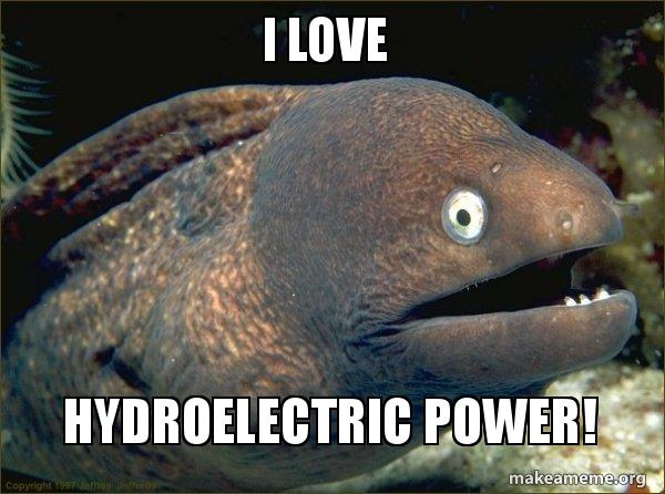 i love hydroelectric power bad joke eel make a meme