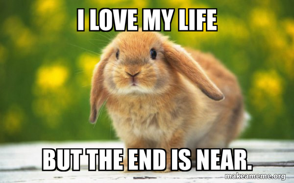 Regretful Rabbit meme