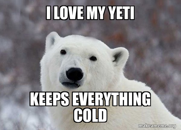 Popular Opinion Polar Bear meme