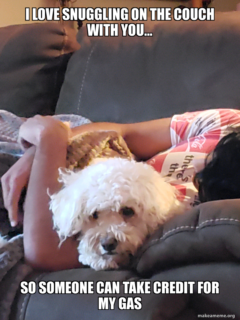 I Love Snuggling On The Couch With You So Someone Can Take