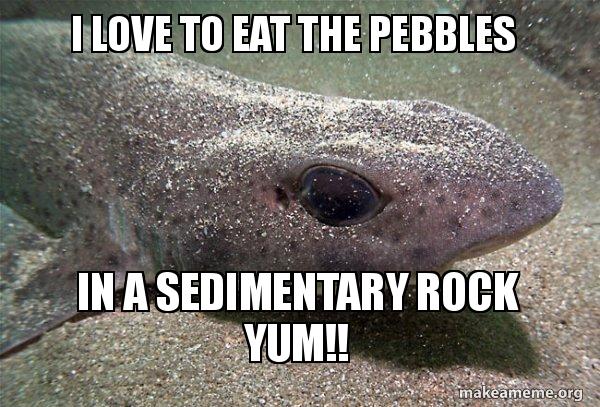 I love to eat the pebbles in a sedimentary rock yum!! - Dirty Joke ...