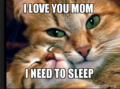 I Love You Mom I Need To Sleep Make A Meme