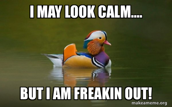 Fashionable Advice Mallard meme