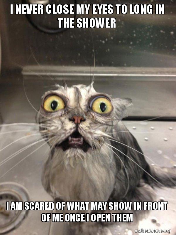 I Never Close My Eyes To Long In The Shower I Am Scared Of What May Show In Front Of Me Once I Open Them Make A Meme
