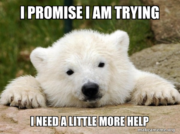 I Promise I am Trying I Need A Little More Help - Popular Opinion Bear ...