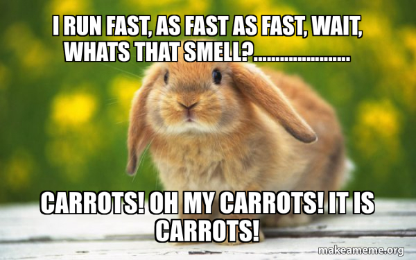 Regretful Rabbit meme