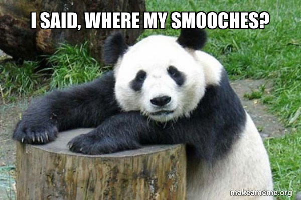 Confession Panda meme