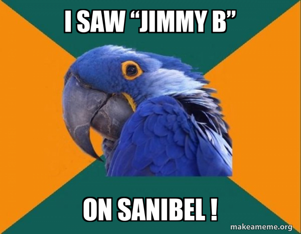 Paranoid Parrot meme