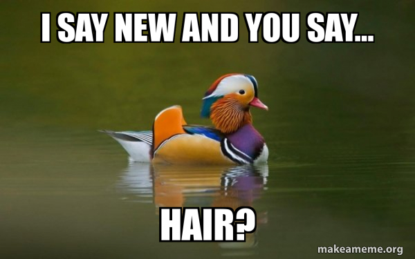 Fashionable Advice Mallard meme