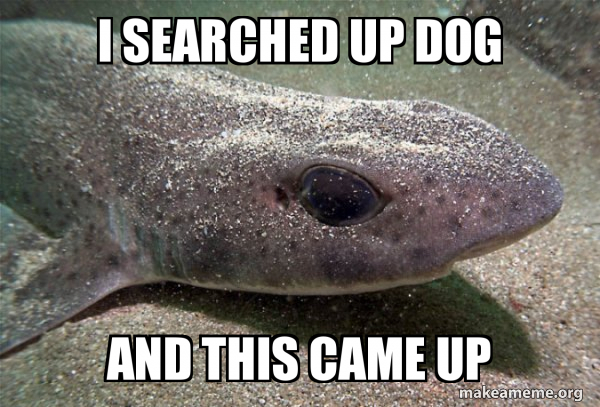 Dirty Joke Dogfish meme