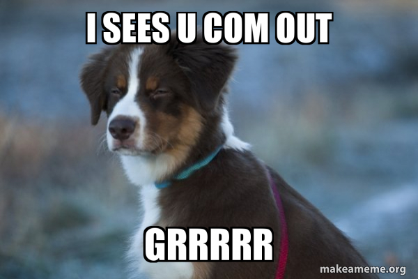 Unsure Dog meme