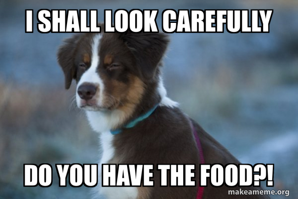 Unsure Dog meme