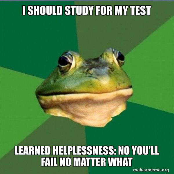 Foul Bachelor Frog meme