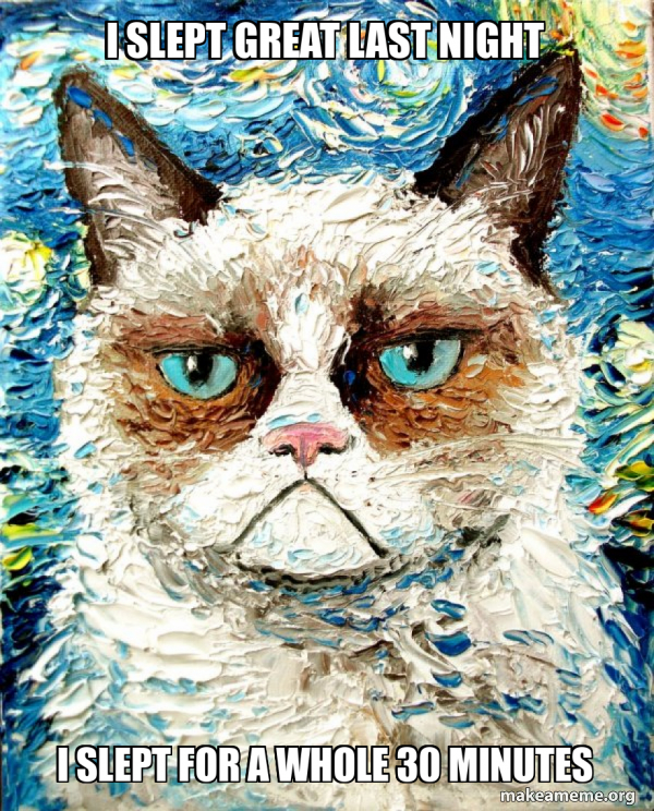 Vincent Van No - Grumpy Cat meme