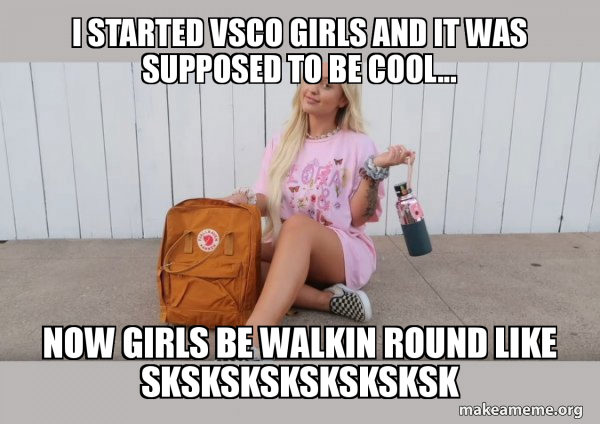 VSCO Girl meme