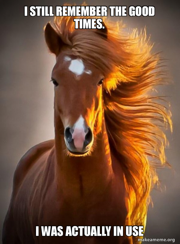 Ridiculously photogenic horse meme