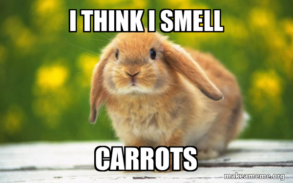 Regretful Rabbit meme