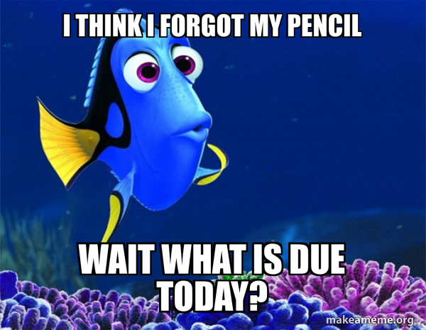 Dory from Nemo  (5 second memory) meme