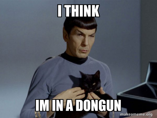 Spock and Cat Meme meme