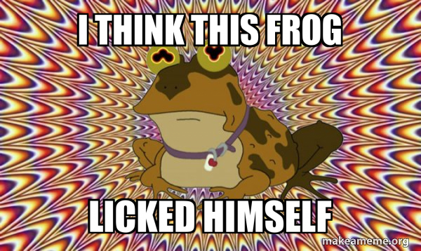 I think this frog licked himself - Hypnotoad Meme Generator