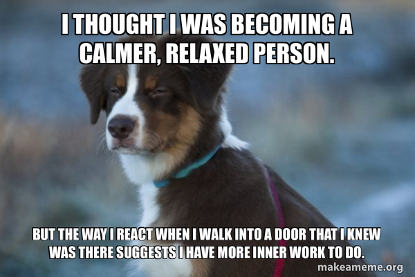 Unsure Dog meme