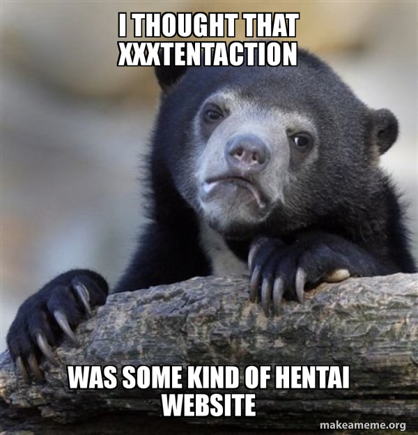 Confession Bear meme