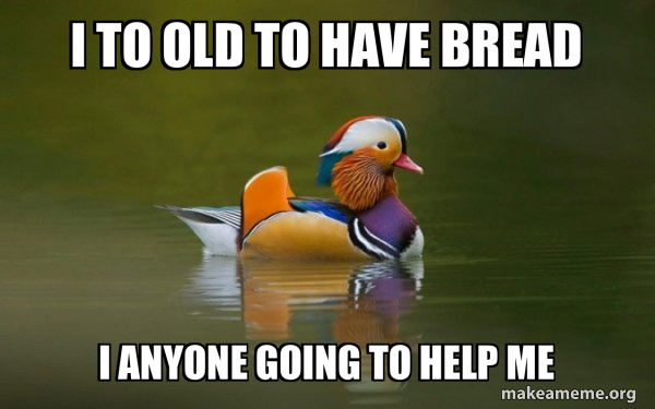 Fashionable Advice Mallard meme