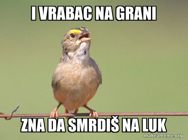 Common Opinion Sparrow meme