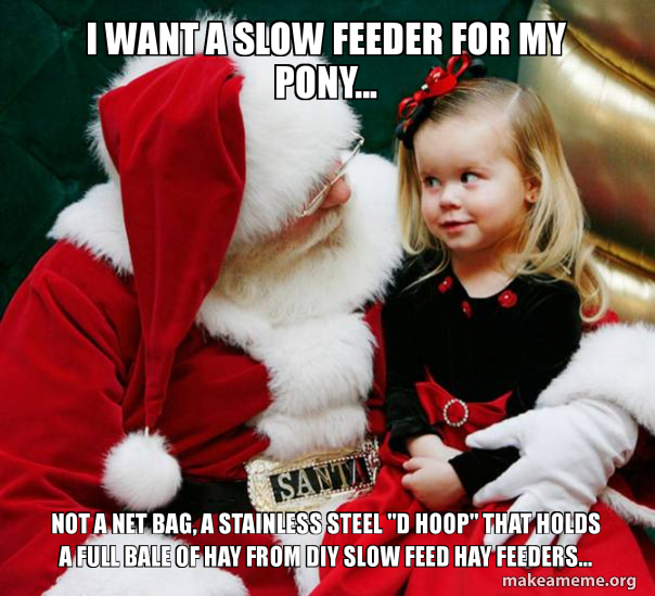 I Want A Slow Feeder For My Pony Not A Net Bag A Stainless