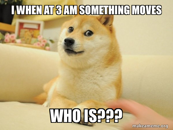 Doge meme