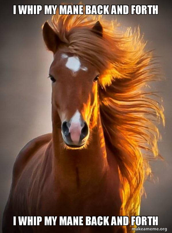 I whip My Mane back and forth I whip my Mane back and forth