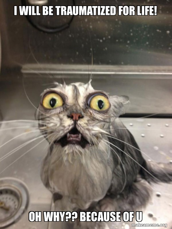 I WILL BE TRAUMATIZED FOR LIFE! OH WHY?? because of u Cat bath Meme