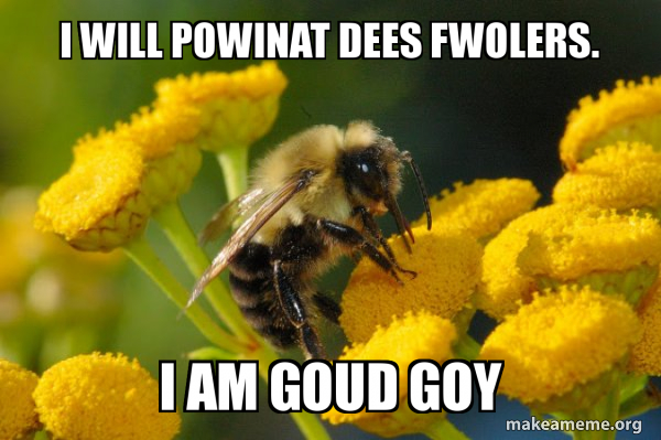 Good Guy Bee meme