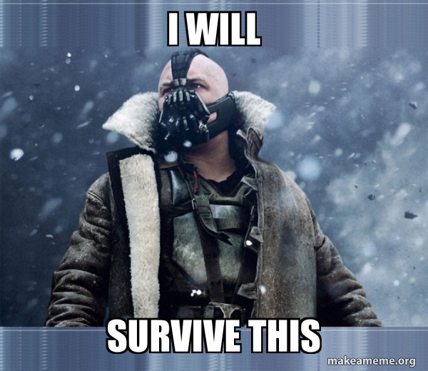 i-will-survive-2392684dc3.jpg
