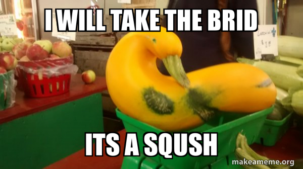 Gourd Advice Mallard meme