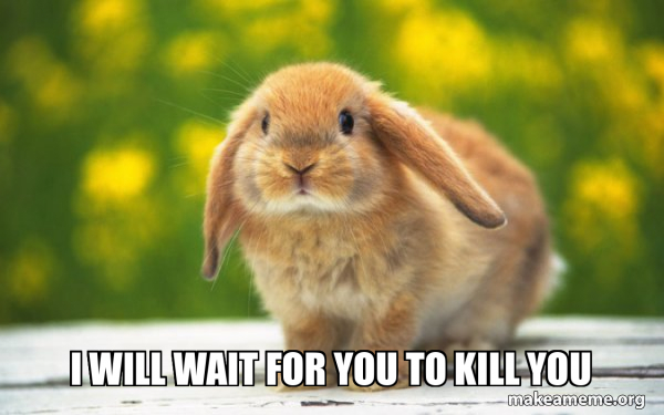 Regretful Rabbit meme