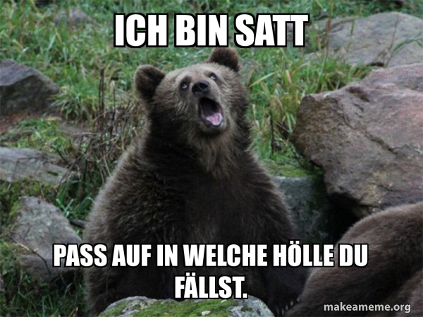 Ich Bin Satt Auf Englisch Ich bin satt Pass auf in welche Hölle du fällst. - Sarcastic Bear Meme