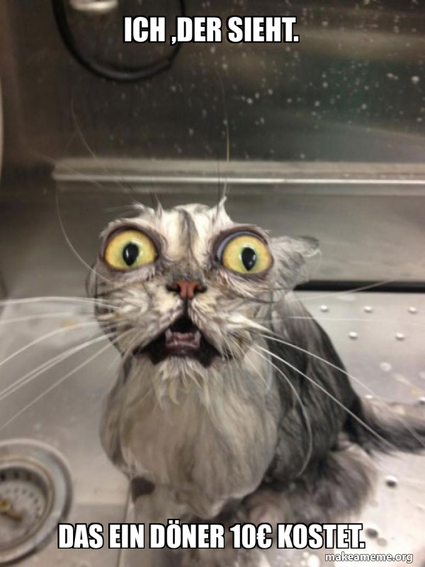 Ich ,der sieht. das ein döner 10€ kostet. - Cat bath Meme Generator
