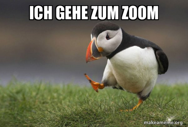 Unpopular Opinion Puffin meme